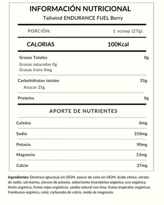 Tailwind ENDURANCE FUEL Berry